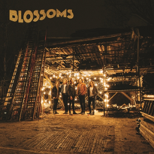 Blossoms - Blossoms